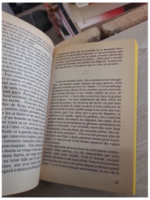 L'année de la lune rousse - Marie-Paule Cepre