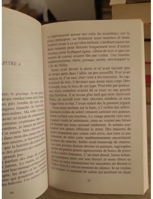 La Vallée des oranges - Béatrice Courtot