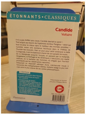 Candide - Voltaire (édition GF Étonnants classiques illustrée)