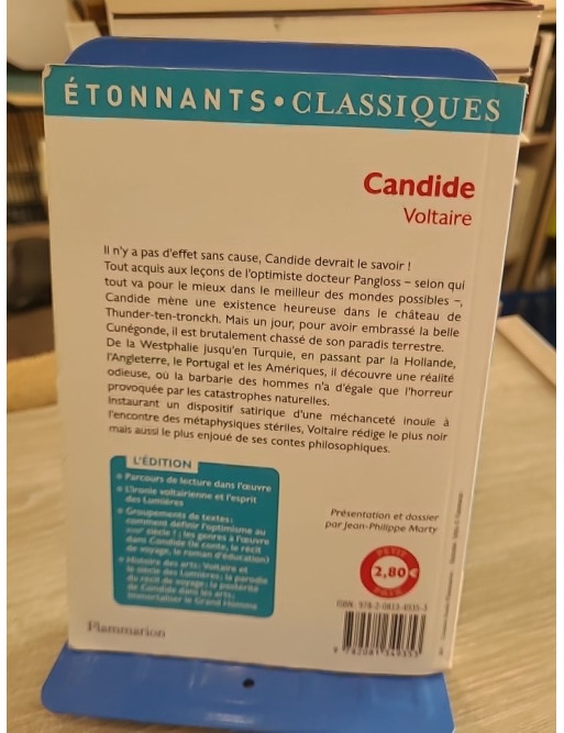 Candide - Voltaire (édition GF Étonnants classiques illustrée)