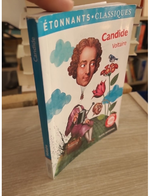 Candide - Voltaire (édition GF Étonnants classiques illustrée)