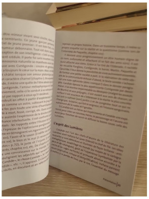 Candide - Voltaire (édition GF Étonnants classiques illustrée)