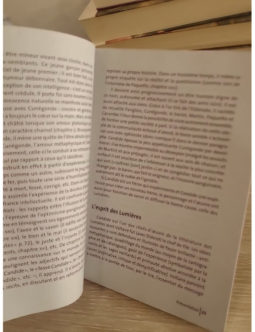 Candide - Voltaire (édition GF Étonnants classiques illustrée)