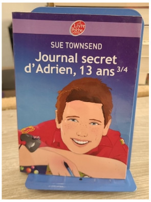 Journal secret d'Adrien, 13 ans 3/4 - roman jeunesse humoristique