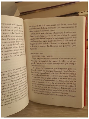 Journal secret d'Adrien, 13 ans 3/4 - roman jeunesse humoristique