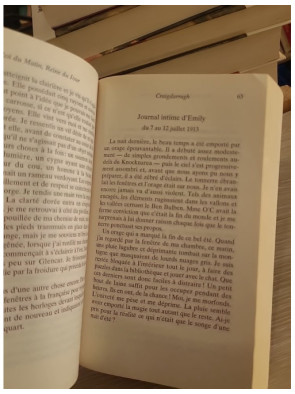 Roi du Matin, Reine du Jour - Ian McDonald (roman de fantasy celtique)