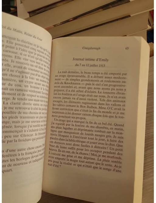 Roi du Matin, Reine du Jour - Ian McDonald (roman de fantasy celtique)