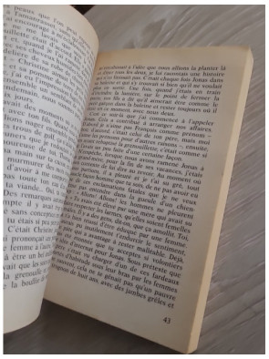 Le Passé infini - Flora Groult (roman sentimental et introspectif)