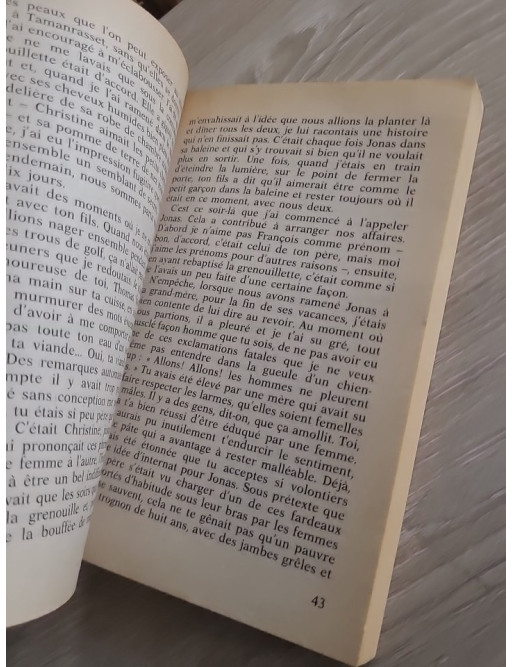 Le Passé infini - Flora Groult (roman sentimental et introspectif)