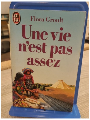 Une vie n'est pas assez - Roman de Flora Groult sur les choix de vie et les passions