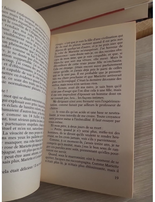 L'Orage rompu - Roman psychologique sur la passion et le destin
