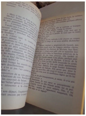 Je n'ai aimé que vous - Roman de Marie-France Pisier