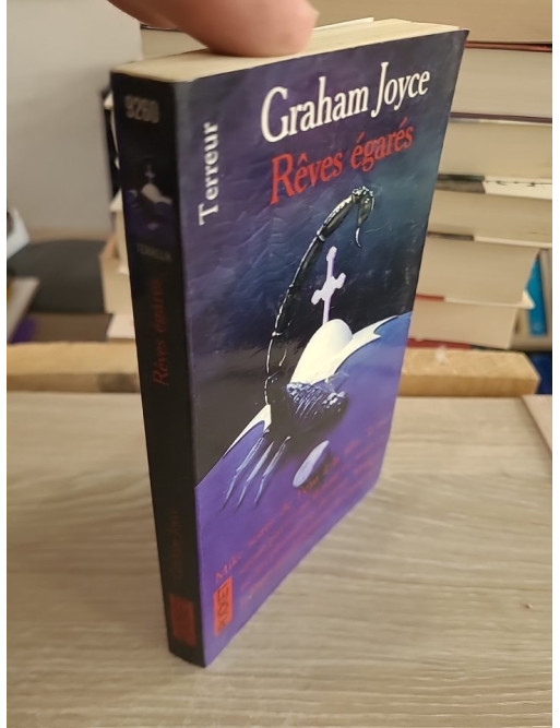 Rêves égarés - Roman fantastique de Graham Joyce