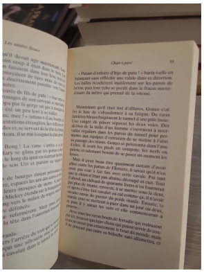 Les années fléaux - Chroniques dystopiques d’une Amérique en crise