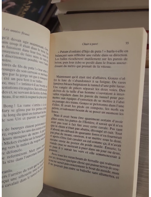 Les années fléaux - Chroniques dystopiques d’une Amérique en crise