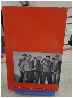 Comment ils deviennent délinquants - Genèse et développement de la socialisation et de la dissocialité