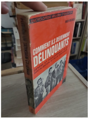 Comment ils deviennent délinquants - Genèse et développement de la socialisation et de la dissocialité