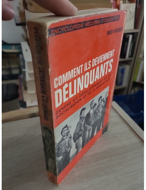 Comment ils deviennent délinquants - Genèse et développement de la socialisation et de la dissocialité