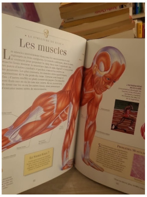 Le corps humain - Anatomie et fonctionnement expliqués aux jeunes lecteurs