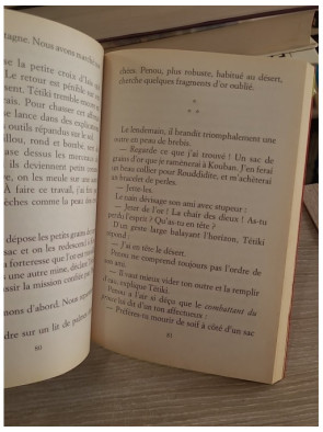 Disparition sur le Nil - Une aventure en Égypte antique pour la jeunesse