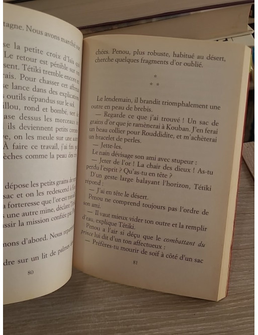 Disparition sur le Nil - Une aventure en Égypte antique pour la jeunesse