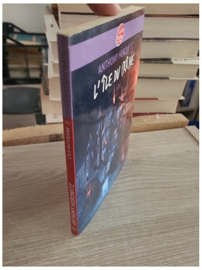 David Eliot Tome 1 - L'île du crâne, une aventure mystérieuse pour la jeunesse