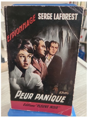 Peur panique - Un roman noir au suspense intense