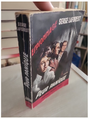 Peur panique - Un roman noir au suspense intense