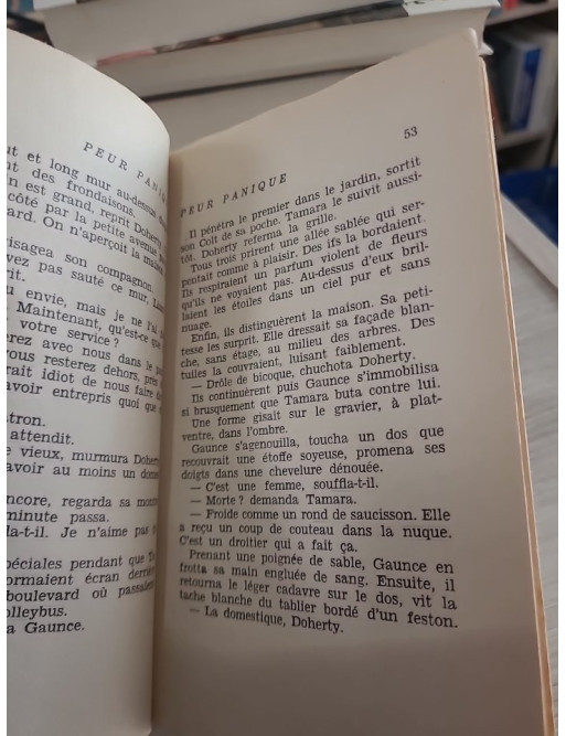 Peur panique - Un roman noir au suspense intense