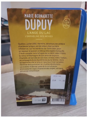 L'orpheline des neiges Tome 6 - L'ange du lac, grande saga familiale au Québec
