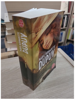 L'orpheline des neiges Tome 6 - L'ange du lac, grande saga familiale au Québec