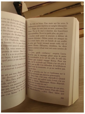 L'orpheline des neiges Tome 6 - L'ange du lac, grande saga familiale au Québec