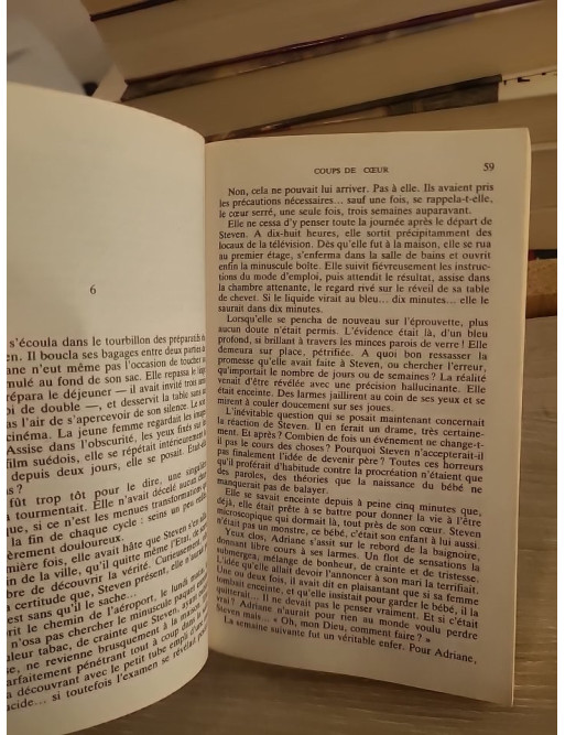 Coups de coeur - Une histoire d'amour entre espoir et reconstruction