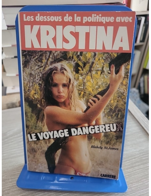 Le Voyage dangereux - Les dessous de la politique, un thriller d'intrigue