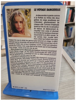 Le Voyage dangereux - Les dessous de la politique, un thriller d'intrigue