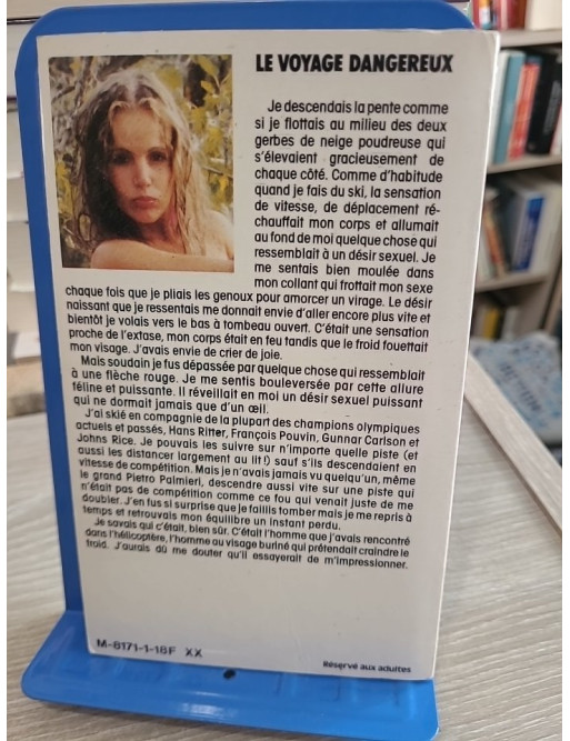 Le Voyage dangereux - Les dessous de la politique, un thriller d'intrigue