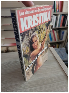 Le Voyage dangereux - Les dessous de la politique, un thriller d'intrigue