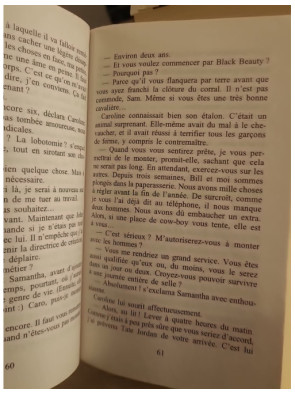 Palomino - Danielle Steel