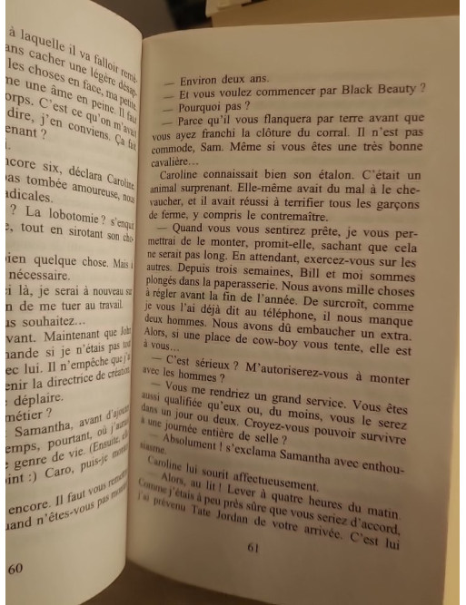 Palomino - Danielle Steel