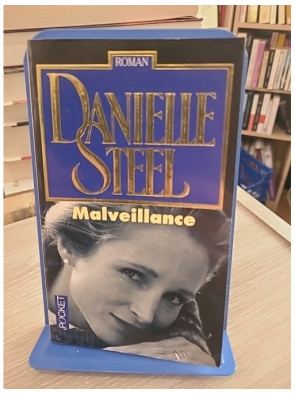 Malveillance - Un roman poignant entre secrets du passé et scandale