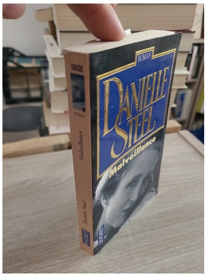 Malveillance - Un roman poignant entre secrets du passé et scandale