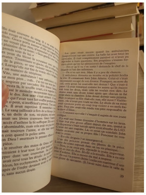 Malveillance - Un roman poignant entre secrets du passé et scandale