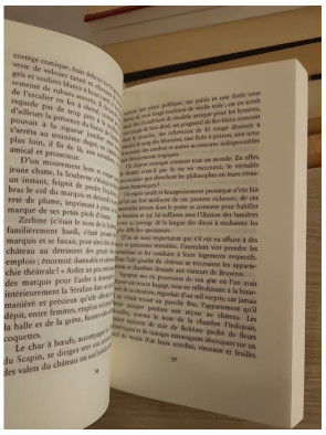 Le capitaine Fracasse - Théophile Gautier - Roman d'aventure classique entre théâtre et noblesse
