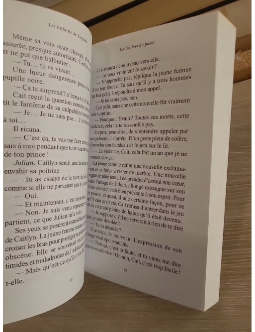 Les Enfants de Lugheir Tome 4 L'ombre du passé - Isabelle Pernot - Fantasy épique et magique