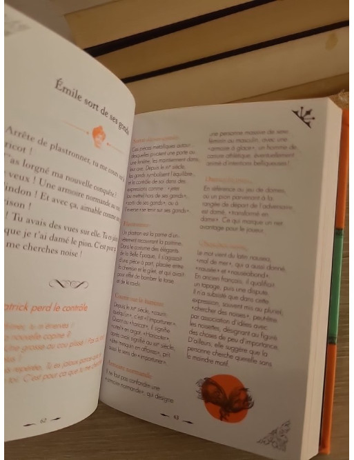 Expressions désuètes - Dominique Foufelle - Dictionnaire ludique des expressions anciennes françaises