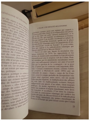 Généalogie de l'islamisme - Olivier Roy - Analyse politique et historique des mouvements islamistes