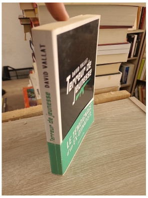 Terreur de jeunesse - David Vallat - Témoignage sur radicalisation et dérives idéologiques