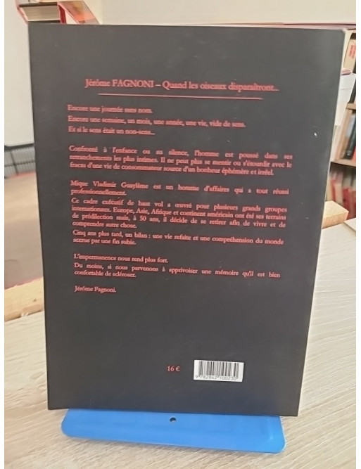 Quand les oiseaux disparaîtront - Jérôme Fagnoni - Roman contemporain sensible et introspectif
