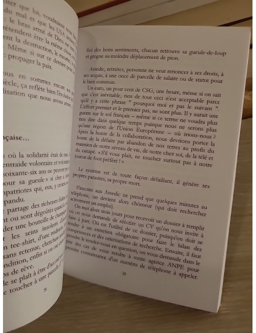 Quand les oiseaux disparaîtront - Jérôme Fagnoni - Roman contemporain sensible et introspectif
