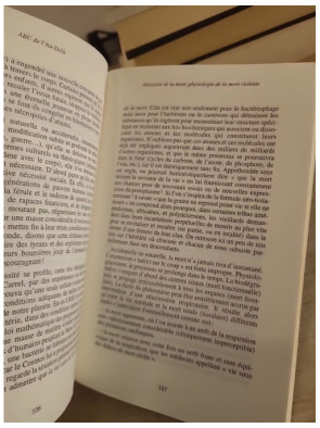 ABC de l'au-delà - Lumières sur l'éternité - Georges Osorio - Essai sur la vie après la mort et spiritualité